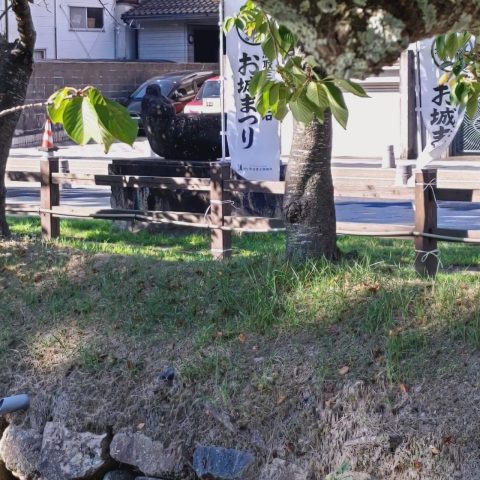 当事務所は鳥取三十二万石お城まつりを応援しております！